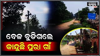 ରାତାରାତି ବିଦ୍ୟୁତ୍ ତାର ଚୋରି କରି ନେଲେ ଦୁର୍ବୃତ୍ତ, ଅନ୍ଧାର ଭିତରେ ଜଙ୍ଗଲୀ ଜନ୍ତୁ ଭୟରେ ଥରୁଛି ବାଘମୁଣ୍ଡା ଗାଁ