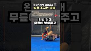 발목 수집가 #주짓수기술 #리버스엑스