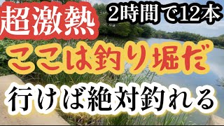 （関東バス釣りスポット）ここは釣り堀か？行けば絶対釣れる！超激熱ポイント！2時間で10本以上！やったなぁ