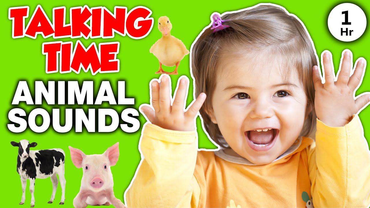Animal Sounds For Toddlers And Babies Talking Time On The Farm Video