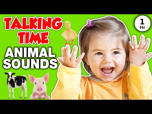 Animal Sounds For Toddlers And Babies Talking Time On The Farm Video