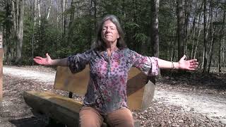 Fabulous Fun Fridays - Week 257: Your Aura. How to protect it, how to mend it.