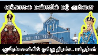 வங்காலைக்கு ஊர்வலமாக எடுத்து செல்லப்பட்ட மடு அன்னையில் திருசொரூபம்!