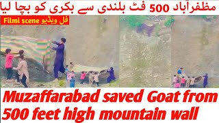 Muzaffarabad saved Goat from 500 feet high mountain wall | today live @ajkpoint2803 #viralvideo