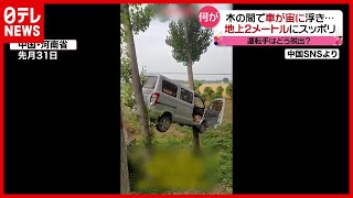 “宙に浮く車”からどう脱出？ ２本の木の間にスッポリ…　中国（2021年6月1日放送「news every.」より）