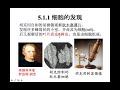 初一综合科学上册 第五章 细胞和生物体 part 1