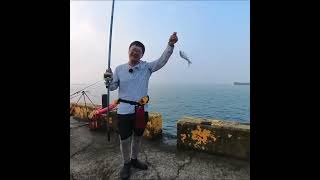 20240402台中港北堤 花身雞魚 #fishing #釣魚 #遠投 #台中港北堤