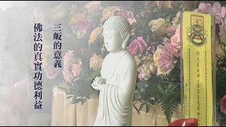 三皈的意義｜佛法的真實功德利益｜悟道法師開示