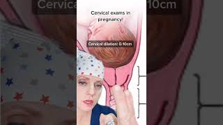 Cervical exams explained!