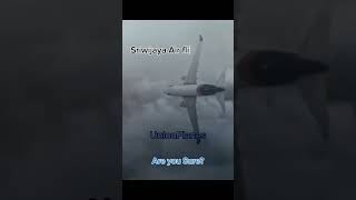 Sriwijaya Air flight 182.... #aviation #indonesia #foryou #fypage #island #ytshorts #crash #animatio