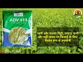 सरसों की सर्वाधिक पैदावार देने वाली किस्में sarso ki top variety high yield variety of mustard