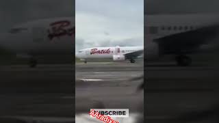 suddenly the Batik Air plane was attacked by bats