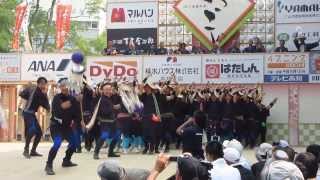 2013よさこい全国大会　セントラルグループ踊り子隊　高知城 8.12