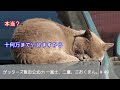 vol.49【 ゲッターズ飯田の「一富士、二鷹、三おくまん。」～short ver.～】行動範囲は少しずつ変更し始めているのですが、今後出会いはあるのでしょうか…