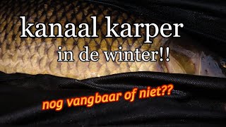 Karpervissen in de winter op een kanaal! nog vangbaar of niet??