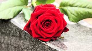 Your funeral - Your choice. How to have exactly the funeral service that YOU want