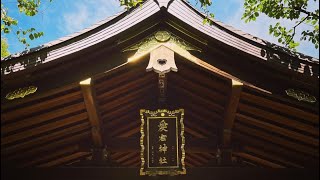 Uncovering Tokyo's Spiritual Side: Explore 4 Historic Shrines Atago, Hibiya, Karasumori \u0026 Kotohiragu