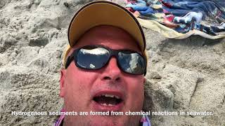 The Four Types of Marine Sediments