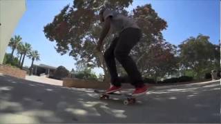 Nike sb Chronicles vol 2 Theotis Beasly