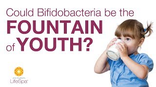 Could Bifidobacteria be the Fountain of Youth?  | John Douillard's LifeSpa