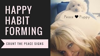 Dog Functional - June 2017 Update Dog Functional - June 2017 Update