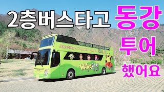 오천원 내고3시간 2층 버스타고 동강마을 투어🚌 🚍 🚎 //정선 여행 오시면 꼭 한번 해보세요