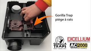 Piège à rats Gorilla Trap et poste d’appâtage Vanguard : ça sonne un rat est piégé !