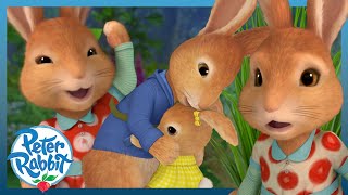 ​@OfficialPeterRabbit - 🤗💖 Peter and His Sisters 🤗💖 | 🎉 World Siblings Day 🎉 | Cartoons for Kids