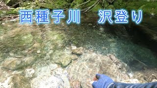 西種子川　沢登り　後編