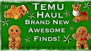 Temu Haul!!! Brand New Finds - and they are Awesome!