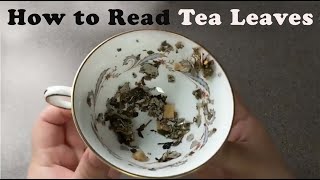 How To Read Tea Leaves! Tasseography made easy!