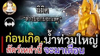 นิมิต สิ่งบอกเหตุ จากครูบาอาจารย์ ก่อนเกิดน้ำท่วมใหญ่!! ให้สังเกตสัตว์เหล่านี้ เขามาเตือน