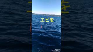 一つテンヤで根魚を釣ろう！　仕掛け投入から釣り上げまで