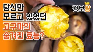 당신만 모르고 있었던 고구마의 숨겨진 효능은?