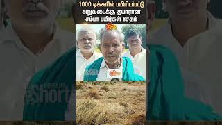 Sirkali | Thousand Acres | Samba Crops | Farmers | Request | Government | Shorts | Sun News