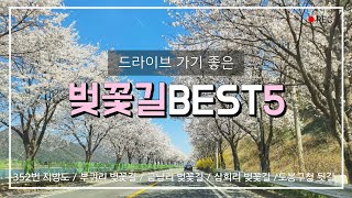 [여행하는 마루]  서울근교 드라이브가기 좋은 벚꽃길 BEST5 │ 벚꽃로드  │ 352번 지방도 │ 북한강로  │ 삼회리 벚꽃길 │ 금남리 │춘천 부귀리│ 찾아가는 법 (sub)