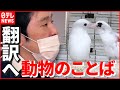 【研究最前線】ペットと気持ちが通じ合う？ 動物の「ことば」を解読しようと挑戦！　宮城　NNNセレクション