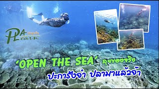 PLAplearn Ep 14 OPEN THE SEA