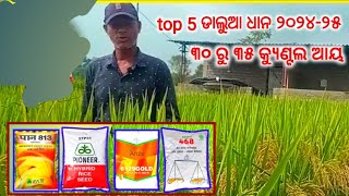 top5 variety  research paddy seeds /  ଟପ୍ ରିସର୍ଚ୍ଚ ୫ ଭେରାଇଟି ଡାଲୁଆ ଧାନ /୩୦ ରୁ ୩୫ କ୍ୟୁଣ୍ଟଲ ଆୟ