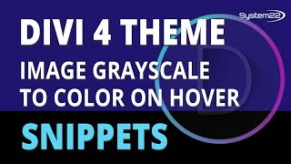 Divi 4 Image Grayscale To Color On Hover 👈