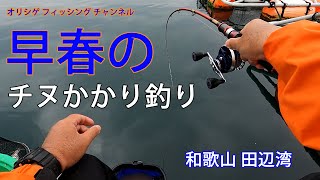 チヌかかり釣り 2023.3.17 堅田漁協　早春の和歌山田辺湾で乗っ込み年無しチヌを狙ってみました。