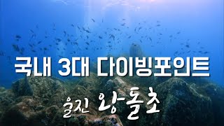 [4K] Korea East Sea KingStone 국내 3대 다이빙포인트 울진 왕돌초 스쿠버다이빙