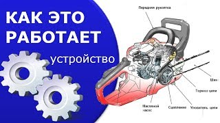 Устройство бензопилы Как работает бензопила!