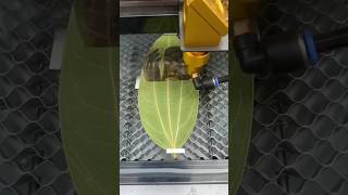 LEAF ENGRING MACHINE #leaf #carving #laser #leafprinting #engravingequipment