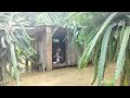 Solo survival || The hut almost sank due to heavy rain.