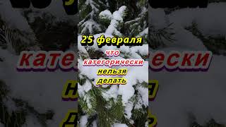 25 февраля народный праздник Алексеев день. Что категорически нельзя делать. Народные приметы