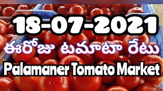 పలమనేరు టమోటా మార్కెట్ యార్డ్ 🍅🍅|ఈరోజు టమోటారేటు🍅🍅|Palamaner Tomato Rate|TodayTomatoRate|18-07-2021|