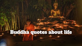 Powerful Buddha Quotes on life that can teach you beautiful life lessons | Buddha Quotes | Buddha |