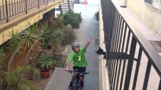 Cat High Fives Kid on Bike