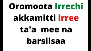 Irreechi akkamitti irree ta'a???